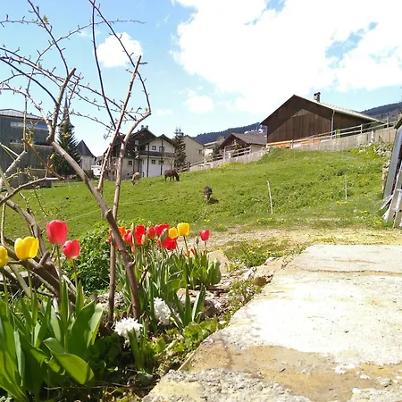 度假居 Charmantes Strickhaus Im Val Lumnezia *