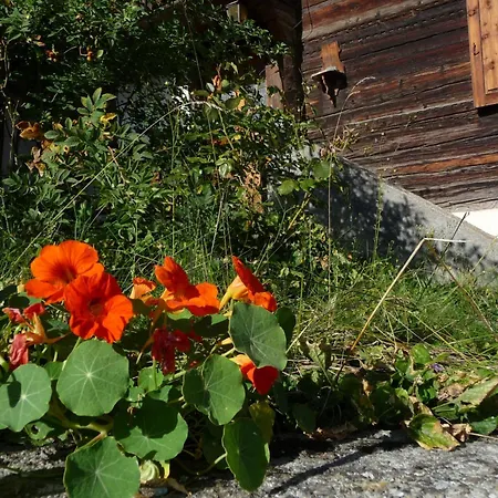 Charmantes Strickhaus Im Val Lumnezia